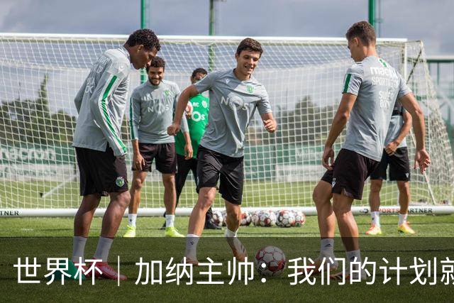 世界杯｜加纳主帅：我们的计划就是让英格兰队受挫