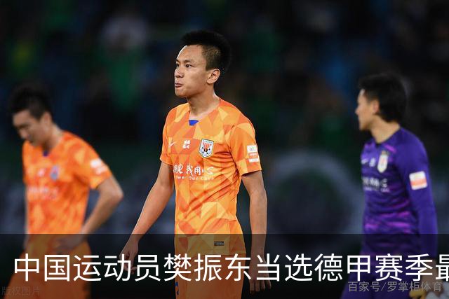 中国运动员樊振东当选德甲赛季最佳球员