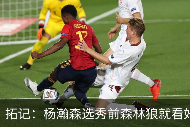拓记：杨瀚森选秀前森林狼就看好他 新帅诺里那时可能看过其试训