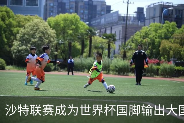 沙特联赛成为世界杯国脚输出大国，名列五大联赛之外第一